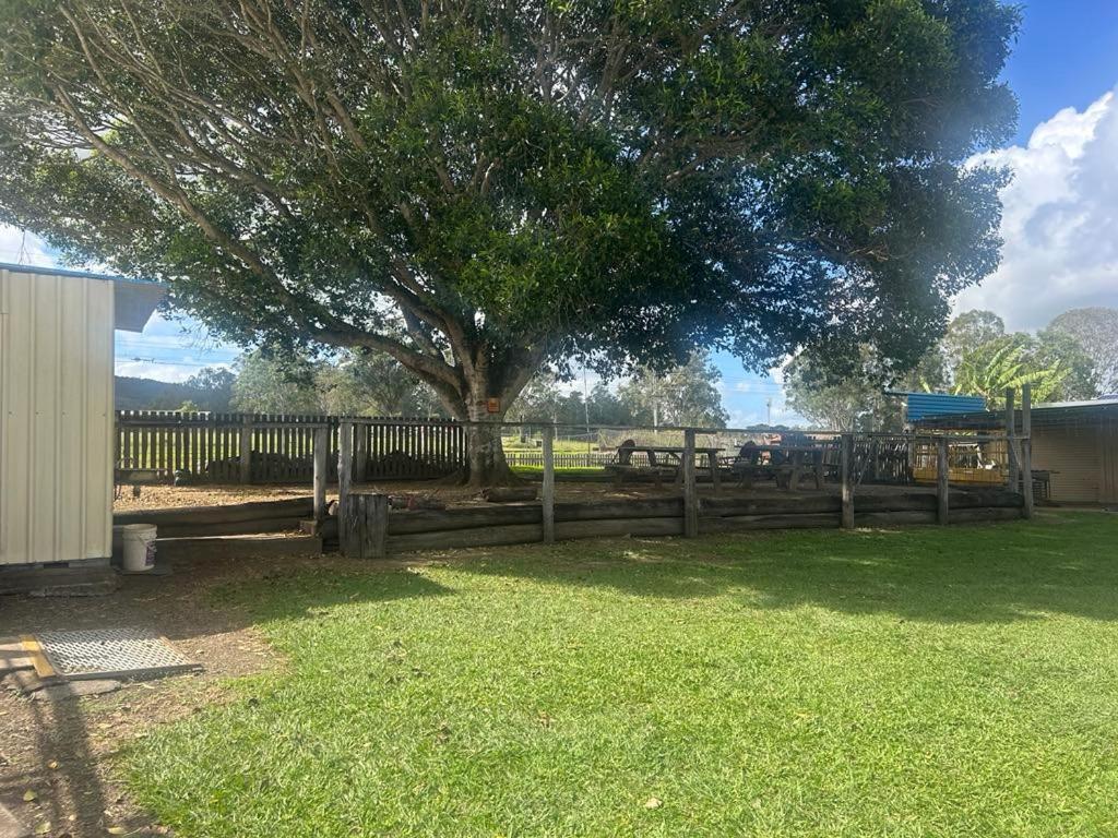 Gundy Pub & Caravan Park Gundiah 外观 照片